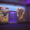Проекционный дизайн "Виртуальная реальность" базовый комплект 500 анимаций - «globural.ru» - Саратов
