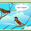 Интерактивное развивающее пособие "Говорящие картинки. Слушаем и повторяем" - «globural.ru» - Саратов
