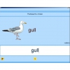 Английский язык. Освоение клавиатуры - «globural.ru» - Саратов