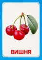 Логопедические карточки и картинки для развития речи - «globural.ru» - Саратов
