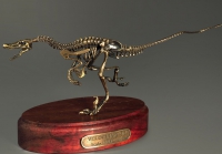 Модель скелета динозавра Velociraptor - «globural.ru» - Саратов