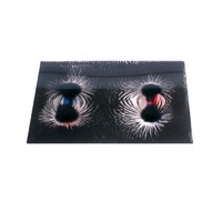 Набор «Эксперименты с магнитным полем» - «globural.ru» - Саратов