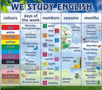 Стенд "We study english" - «globural.ru» - Саратов