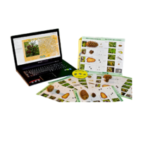 Коллекция натурально-интерактивная "Шишки, плоды, семена деревьев и кустарников" - «globural.ru» - Саратов