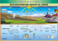 Таблица Возникновение жизни на Земле 1000*1400 винил - «globural.ru» - Саратов