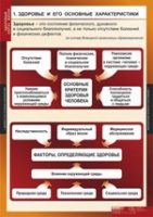 ОБЖ Здоровый образ жизни (комплект таблиц) - «globural.ru» - Саратов