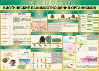 Таблица Биотические взаимоотношения организмов 1000*700 (винил) - «globural.ru» - Саратов