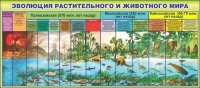 Стенд "Эволюция растительного и животного мира" - «globural.ru» - Саратов