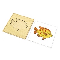 Строение рыбки с контуром - «globural.ru» - Саратов