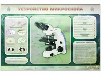 Электрифицированный стенд "Устройство микроскопа и правила работы c ним" - «globural.ru» - Саратов