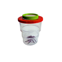 Коробка для изучения насекомых с лупой (вариант 2) - «globural.ru» - Саратов