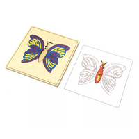 Строение бабочки с контуром. - «globural.ru» - Саратов