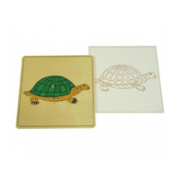 Строение черепахи с контуром - «globural.ru» - Саратов