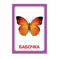 Логопедка "Ч" (логопедические карточки) - «globural.ru» - Саратов