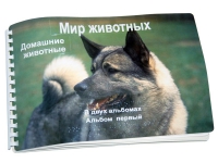 Пособие для слабовидящих "Домашние животные" - «globural.ru» - Саратов