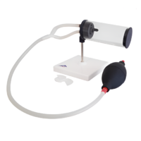 Модель имитации курения 3 в 1 - «globural.ru» - Саратов