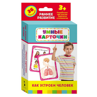 Карточки Домана "Как устроен человек" - «globural.ru» - Саратов
