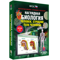 Наглядная биология. Человек. Строение тела человека - «globural.ru» - Саратов