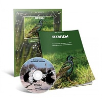 Электронное наглядное пособие «Птицы» - «globural.ru» - Саратов