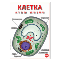 DVD Клетка - "атом жизни" - «globural.ru» - Саратов