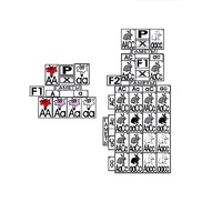 Модель-аппликация "Неполное доминирование и взаимодействие генов" (ламинированная) - «globural.ru» - Саратов