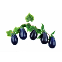 Ветка муляжей "Баклажаны" - «globural.ru» - Саратов