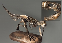 Модель скелета динозавра Tyrannosaurus - «globural.ru» - Саратов