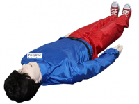 Робот-тренажер "Антон 1.02 К/П" для оказания первой помощи в пути следования - «globural.ru» - Саратов