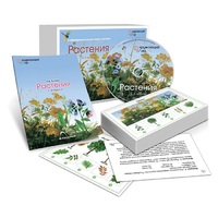 Комбинированное наглядное пособие «Растения» - «globural.ru» - Саратов