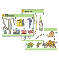 Комплект таблиц по биологии демонстрационный "Зоология 1" (14 таблиц, формат А1, лам.) - «globural.ru» - Саратов