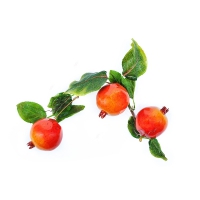 Ветка муляжей "Гранат" - «globural.ru» - Саратов