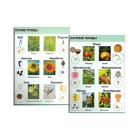 Коллекция "Семена и плоды" (вариант 2) - «globural.ru» - Саратов