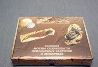 Коллекция "Формы сохранности ископаемых растений и животных" - «globural.ru» - Саратов