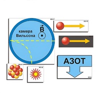 Модель-аппликация "Открытие протона и нейтрона" (ламинированная) - «globural.ru» - Саратов