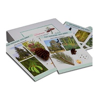 Коллекция "Голосеменные растения" (вариант 2) - «globural.ru» - Саратов