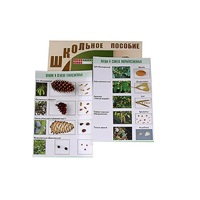 "Шишки, плоды, семена деревьев и кустарников" - «globural.ru» - Саратов