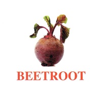 "Vegetables-Greenery-2" ("Овощи-Зелень-2") английские карточки Домана - «globural.ru» - Саратов