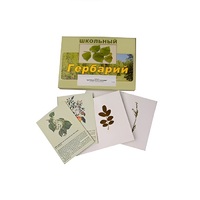 Гербарий "Деревья и кустарники" (22 вида, с иллюстрациями) - «globural.ru» - Саратов