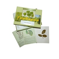 Гербарий "Дикорастущие растения" (30 видов, с иллюстрациями) - «globural.ru» - Саратов