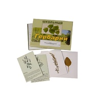 Гербарий "Лекарственные растения" (22 вида, с иллюстрациями) - «globural.ru» - Саратов