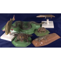 Комплект моделей "Позвоночные животные" (8 штук) - «globural.ru» - Саратов