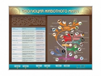 Интерактивный электрифицированный стенд "Эволюция животного мира" - «globural.ru» - Саратов