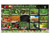 Комплект оборудования "Живой уголок" (растения) - «globural.ru» - Саратов