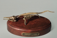 Модель скелета ихтиозавра Ichthyosaurus - «globural.ru» - Саратов