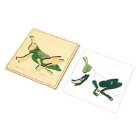 Строение кузнечика с контуром - «globural.ru» - Саратов