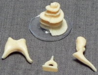 Модель "Косточки слуховые" - «globural.ru» - Саратов