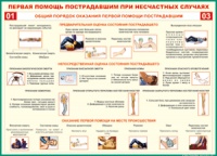  Таблица Общий порядок оказания первой помощи пострадавшим 1000*1400 винил	 - «globural.ru» - Саратов