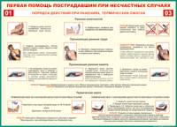 Таблица Порядок действий при ранениях и термических ожогах	 1000*1400 винил - «globural.ru» - Саратов