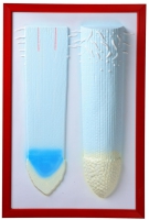 Барельефная модель "Клеточное строение корня" - «globural.ru» - Саратов