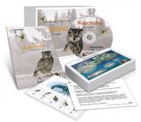 Комбинированное наглядное пособие «Животные» - «globural.ru» - Саратов
